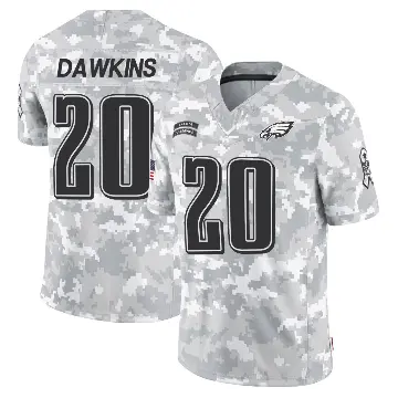 ＃20 Men's Brian Dawkins Arctic Camo Limited Philadelphia Eagles 2024 Salute to Service Jersey